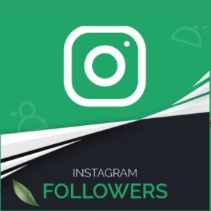 100 Indian Followers